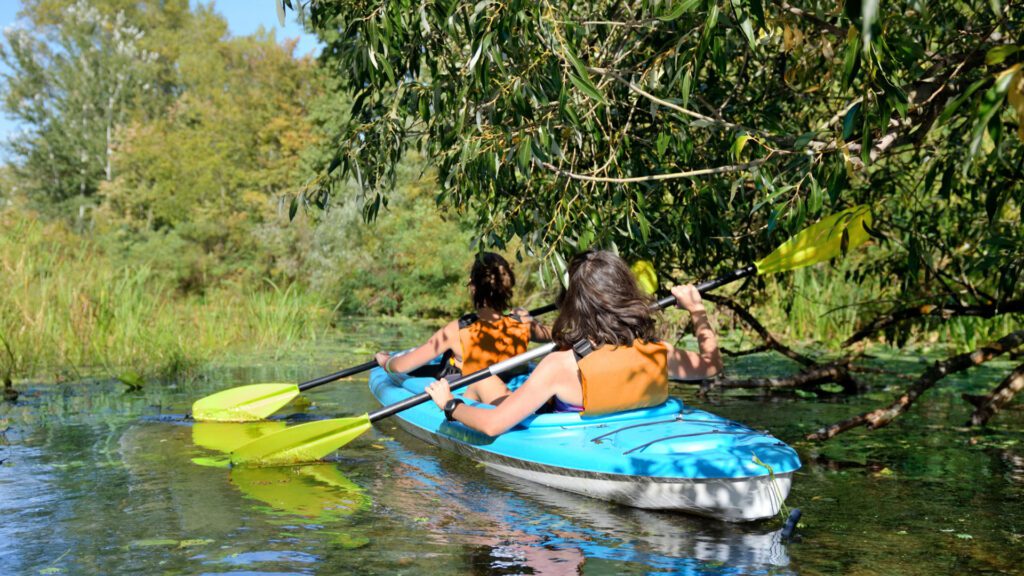 Two people kayak through a lush, tree-lined waterway.